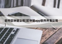 软件区块链公司[区块链app软件开发公司]